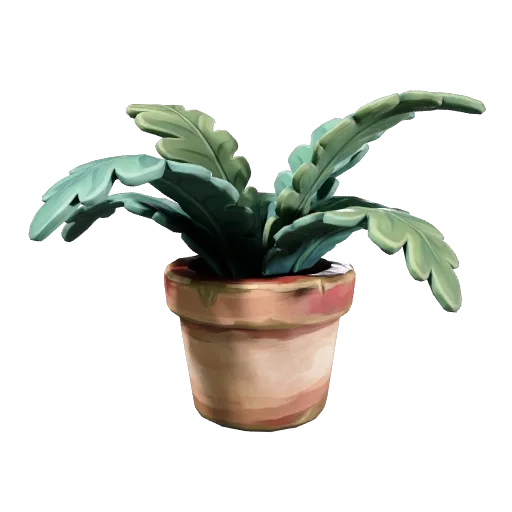 Potted plant